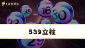 539立柱-教你立柱排列組合怎麼算,再附上立柱速見表給你!