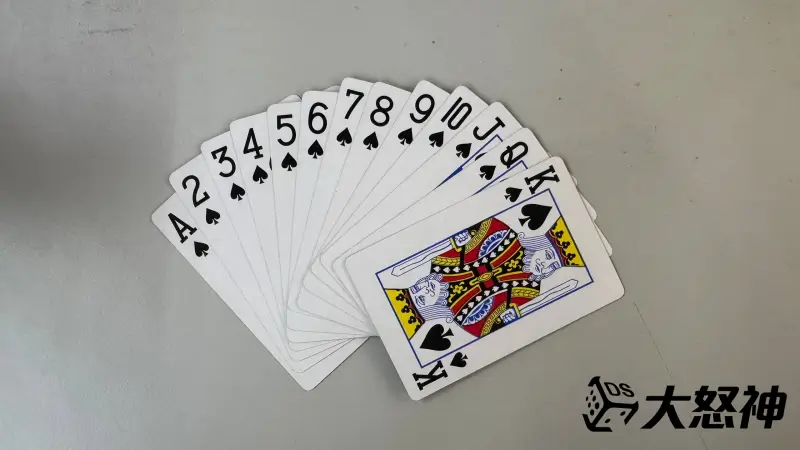 DS大怒神棋牌遊戲超多元